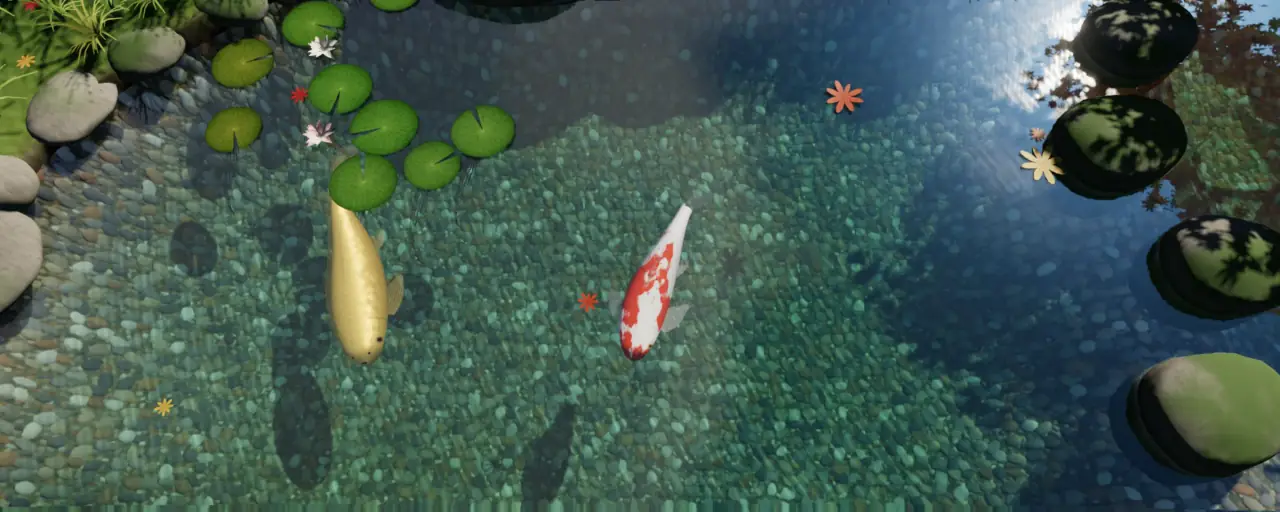 A gold koi and a red and white koi under clear water, beside lily pads and stepping stones.
